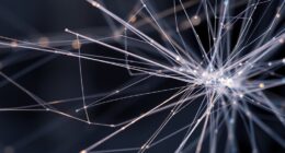 laboratory spider silk fibers