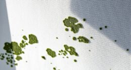 eliminate fabric mold mildew