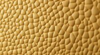 sustainable cactus leather alternative