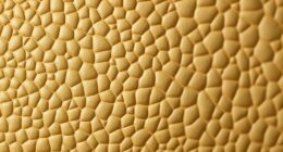 sustainable cactus leather alternative
