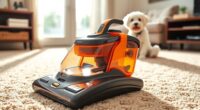 top pet carpet cleaners