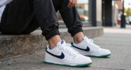11 Best Nike Dunk Low Sneakers in 2026