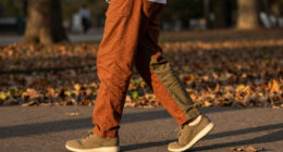 14 Best Fall Pants in 2026